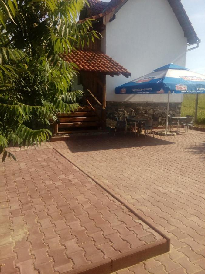 Vila Sura Razoare Сигишоара Екстериор снимка