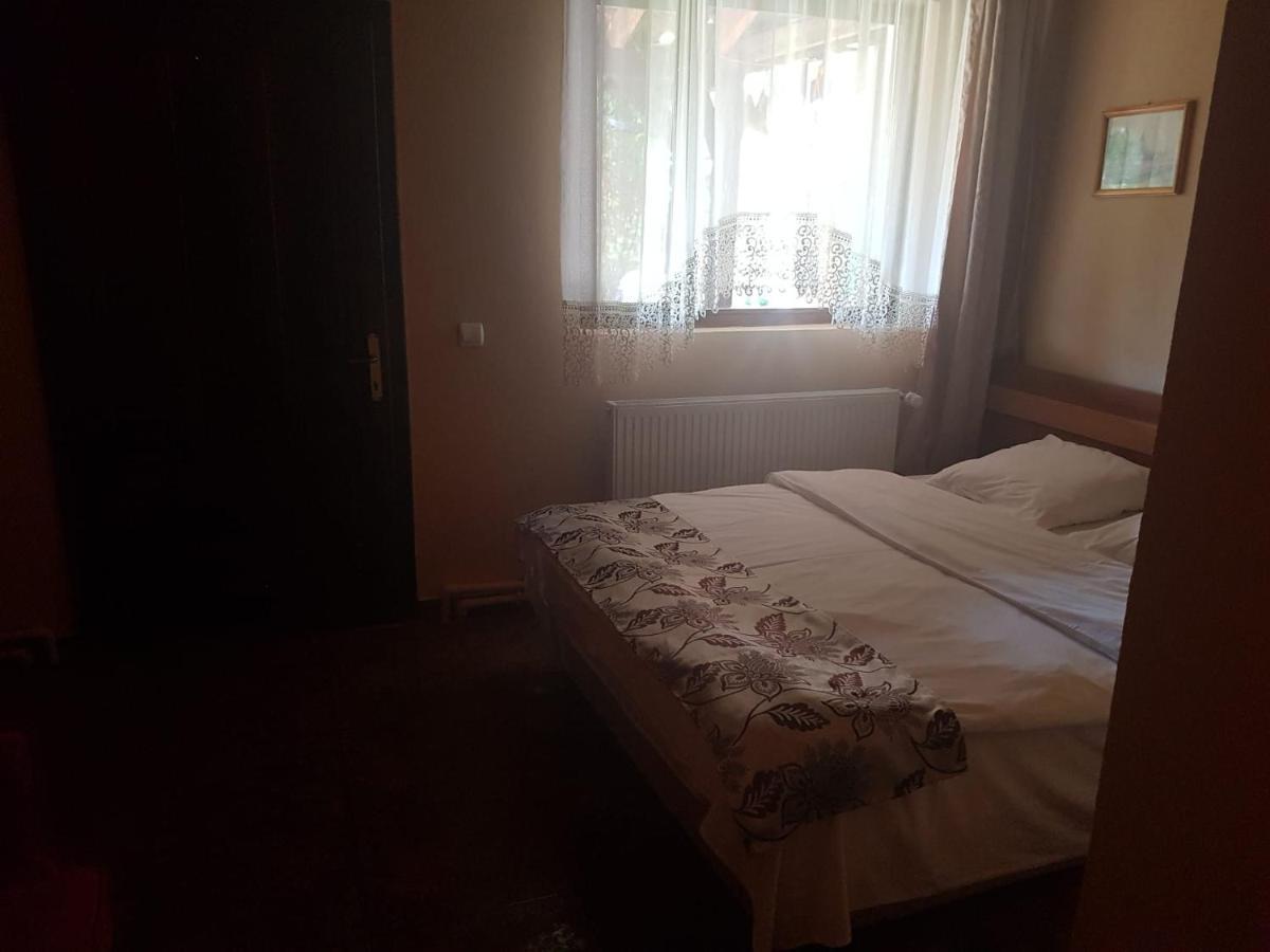Vila Sura Razoare Сигишоара Екстериор снимка