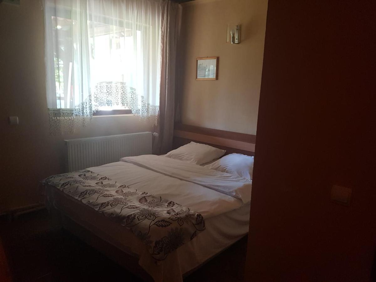 Vila Sura Razoare Сигишоара Екстериор снимка