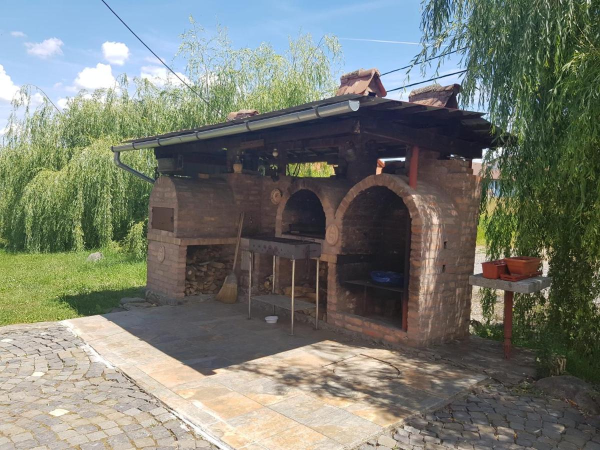 Vila Sura Razoare Сигишоара Екстериор снимка