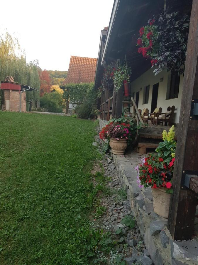 Vila Sura Razoare Сигишоара Екстериор снимка