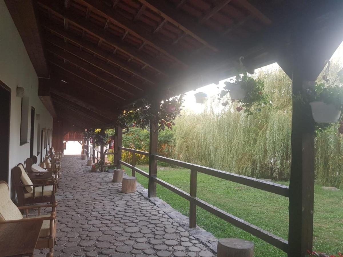 Vila Sura Razoare Сигишоара Екстериор снимка