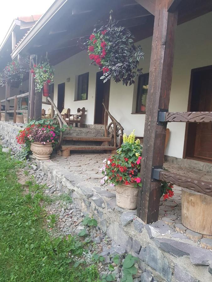 Vila Sura Razoare Сигишоара Екстериор снимка