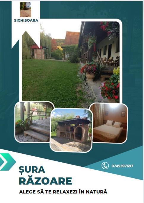 Vila Sura Razoare Сигишоара Екстериор снимка