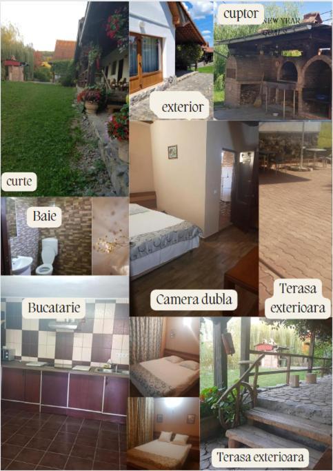 Vila Sura Razoare Сигишоара Екстериор снимка