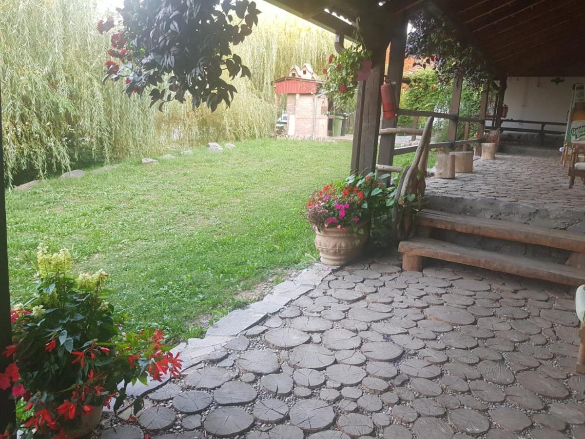 Vila Sura Razoare Сигишоара Екстериор снимка